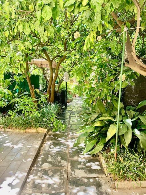 Casa Adele Lägenhet Monterosso al Mare Exteriör bild